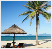 Lifestyle & Travel