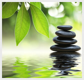 Beauty & Wellness